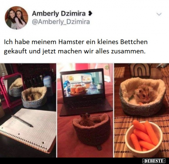 Ich habe meinem Hamster ein kleines Bettchen gekauft und.. - Lustige Bilder | DEBESTE.de