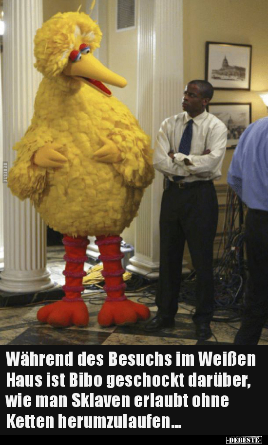 Während des Besuchs im Weißen Haus ist Bibo geschockt.. - Lustige Bilder | DEBESTE.de