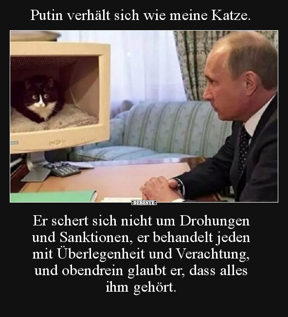 Putin verhält sich wie meine Katze. Er schert sich nicht.. - Lustige Bilder | DEBESTE.de