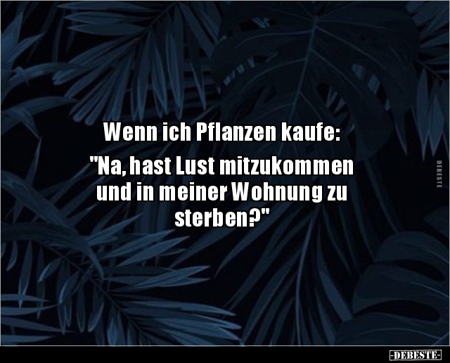 Wenn ich Pflanzen kaufe: "Na, hast Lust mitzukommen.." - Lustige Bilder | DEBESTE.de