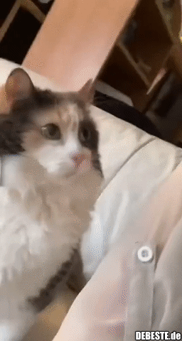 Ich will gestreichelt werden!