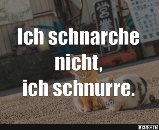 Ich schnarche nicht!.. Ich schnurre! - Lustige Bilder | DEBESTE.de