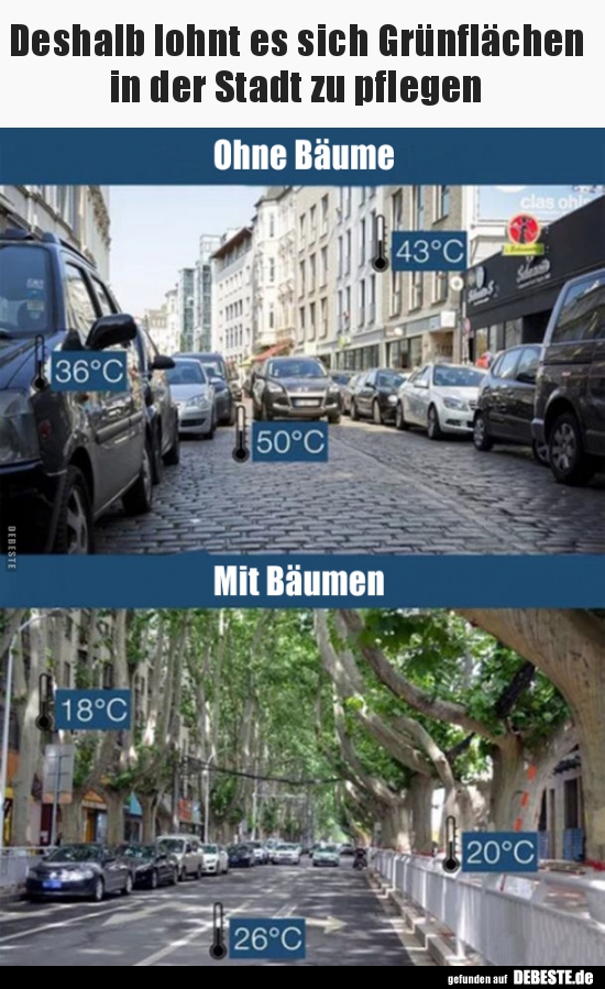 Deshalb lohnt es sich Grünflächen in der Stadt zu..