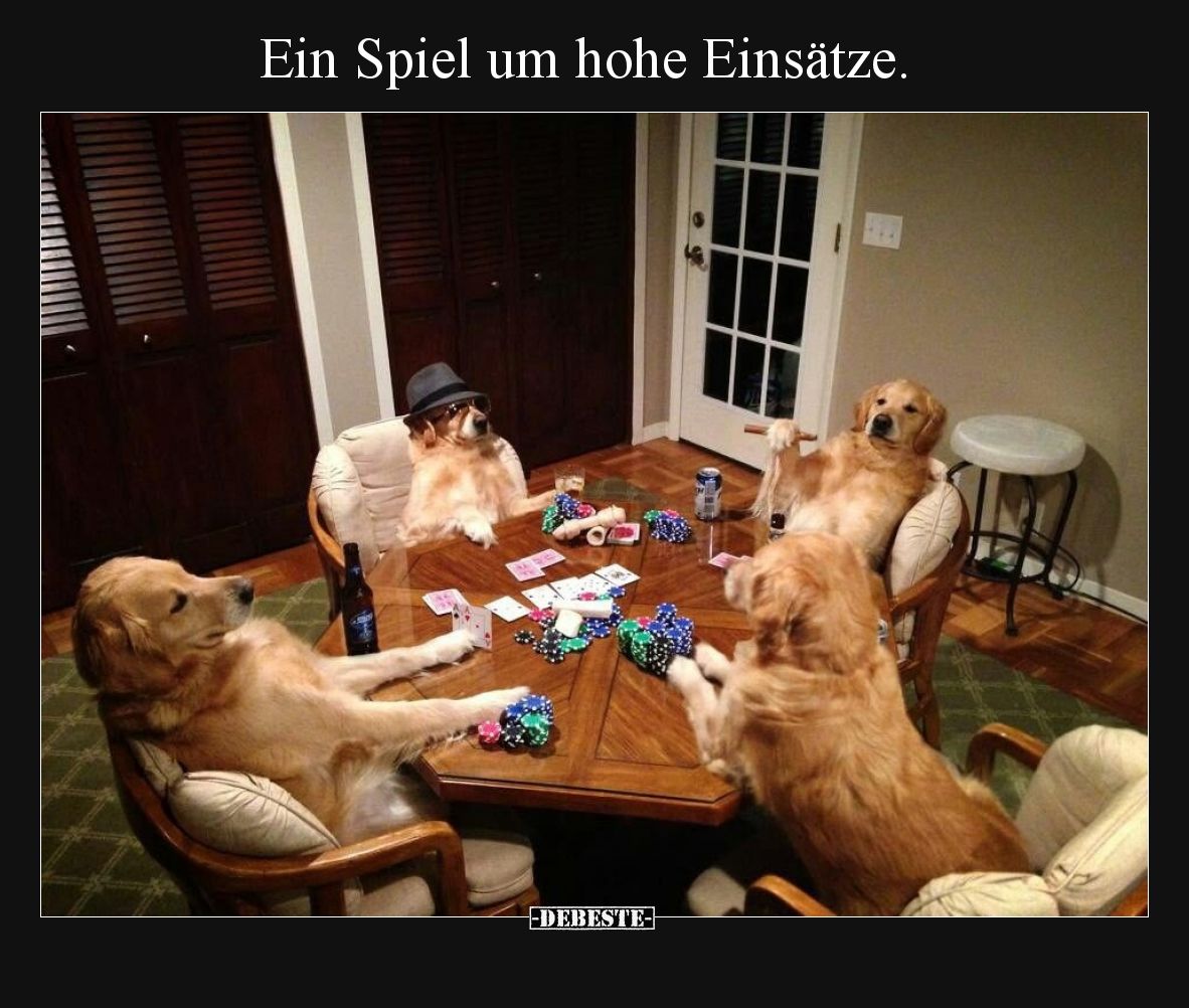 Ein Spiel um hohe Einsätze