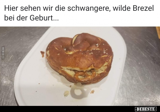 Hier sehen wir die schwangere, wilde Brezel bei der.. - Lustige Bilder | DEBESTE.de