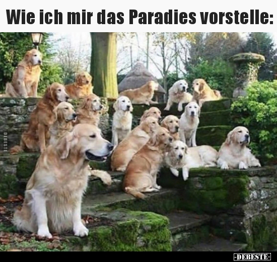 Wie ich mir das Paradies vorstelle..