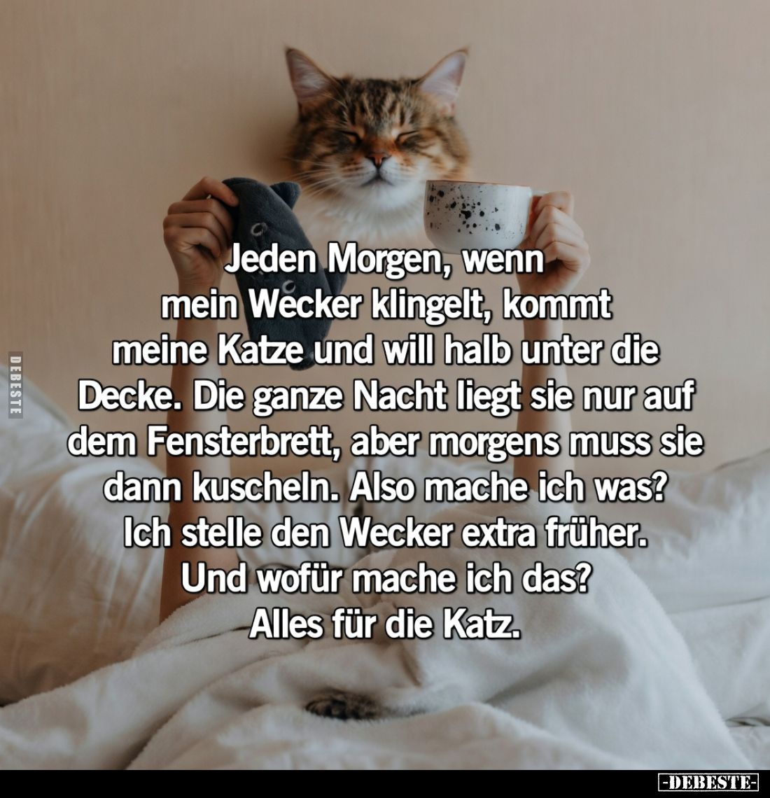 Jeden Morgen, wenn mein Wecker klingelt, kommt meine Katze und will halb unter die Decke.

Die ganze Nacht liegt sie nur au...