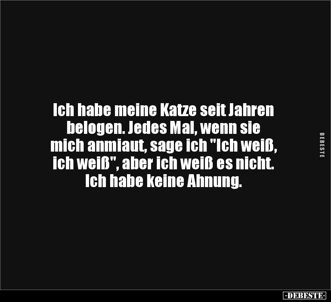 Ich habe meine Katze seit Jahren
belogen. Jedes Mal, wenn sie
mich anmiaut, sage ich "Ich weiß,
ich weiß", ab...