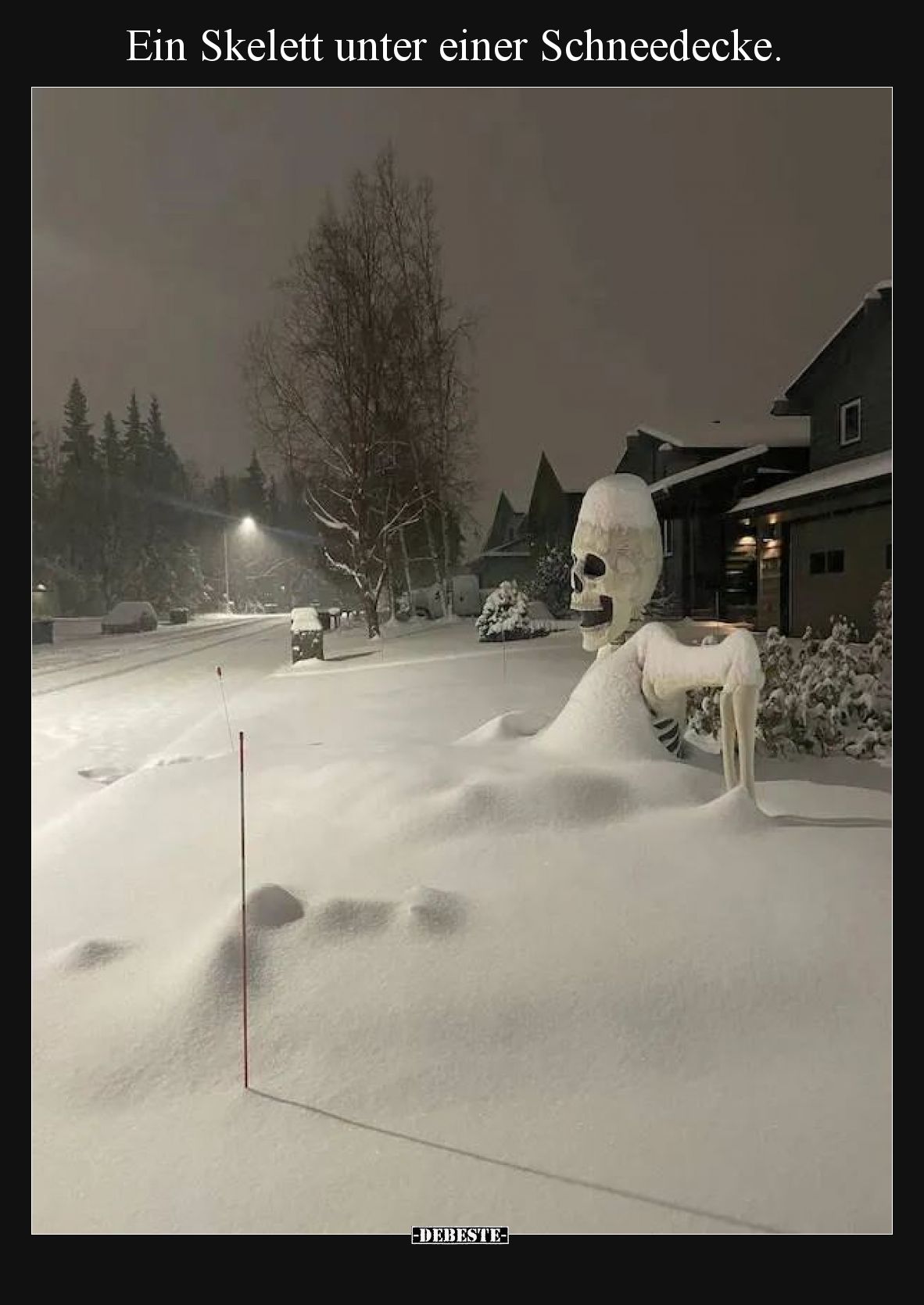 Ein Skelett unter einer Schneedecke.