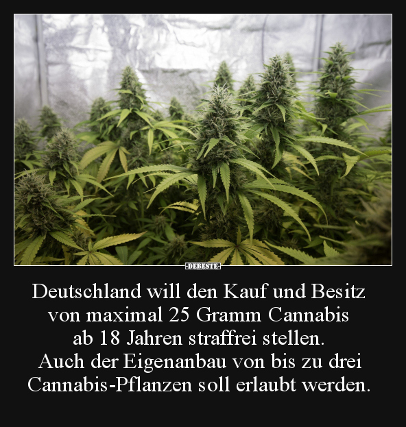 Deutschland will den Kauf und Besitz von maximal 25 Gramm.. - Lustige Bilder | DEBESTE.de