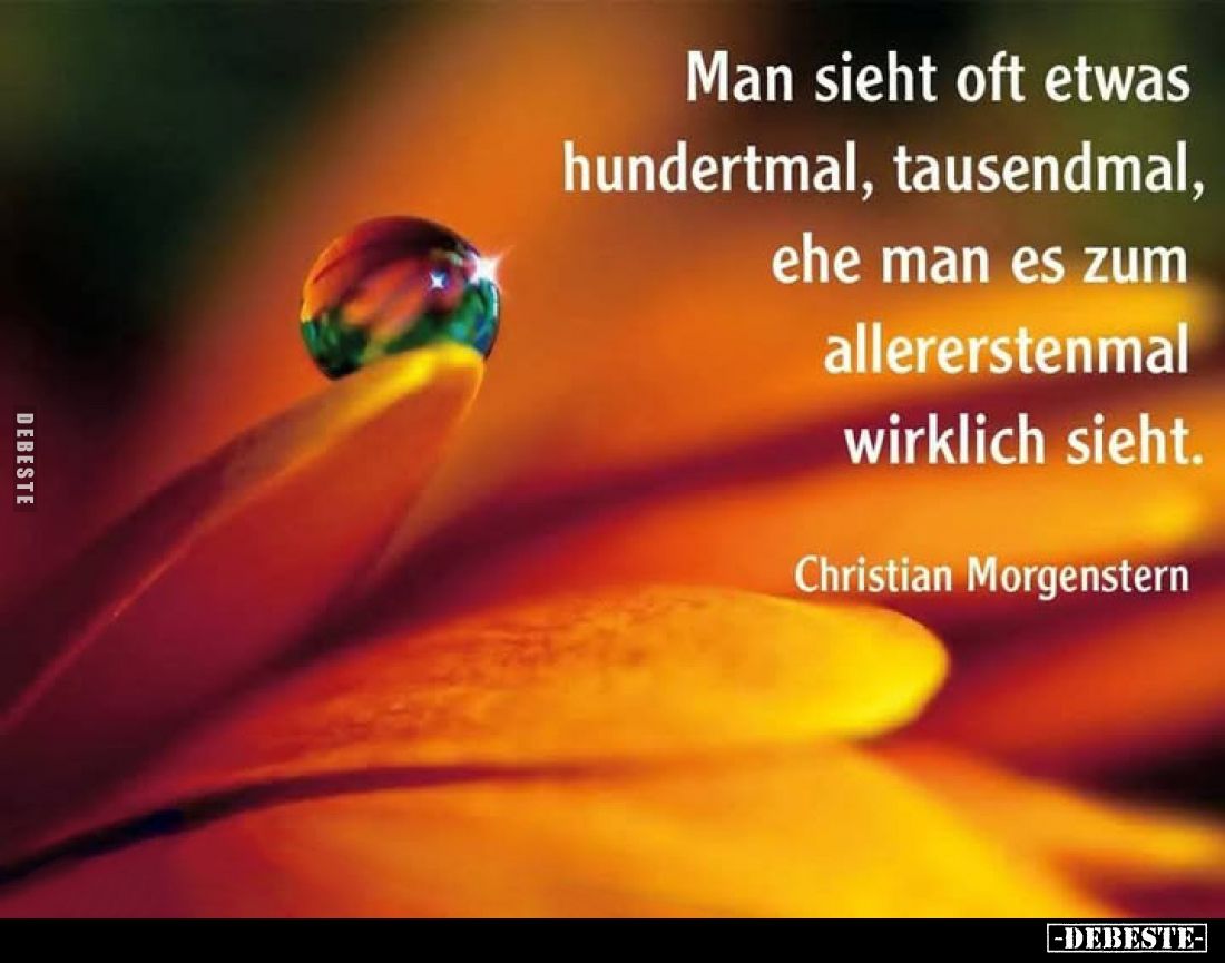 Man sieht oft etwas hundertmal, tausendmal, ehe man es zum allerersten mal wirklich sieht.