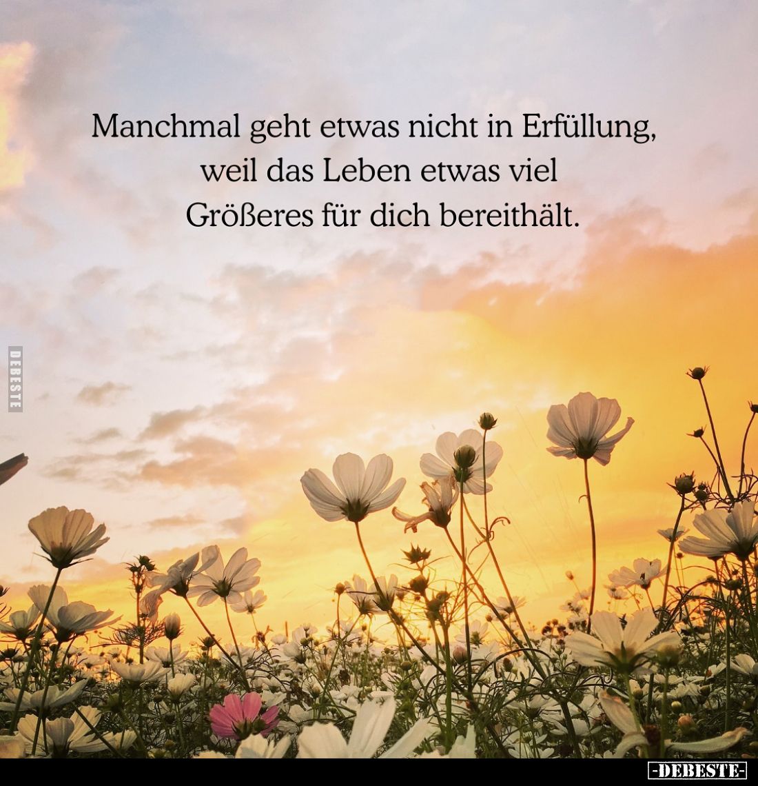 Manchmal geht etwas nicht in Erfüllung, weil das Leben etwas viel Größeres für dich bereithält.
