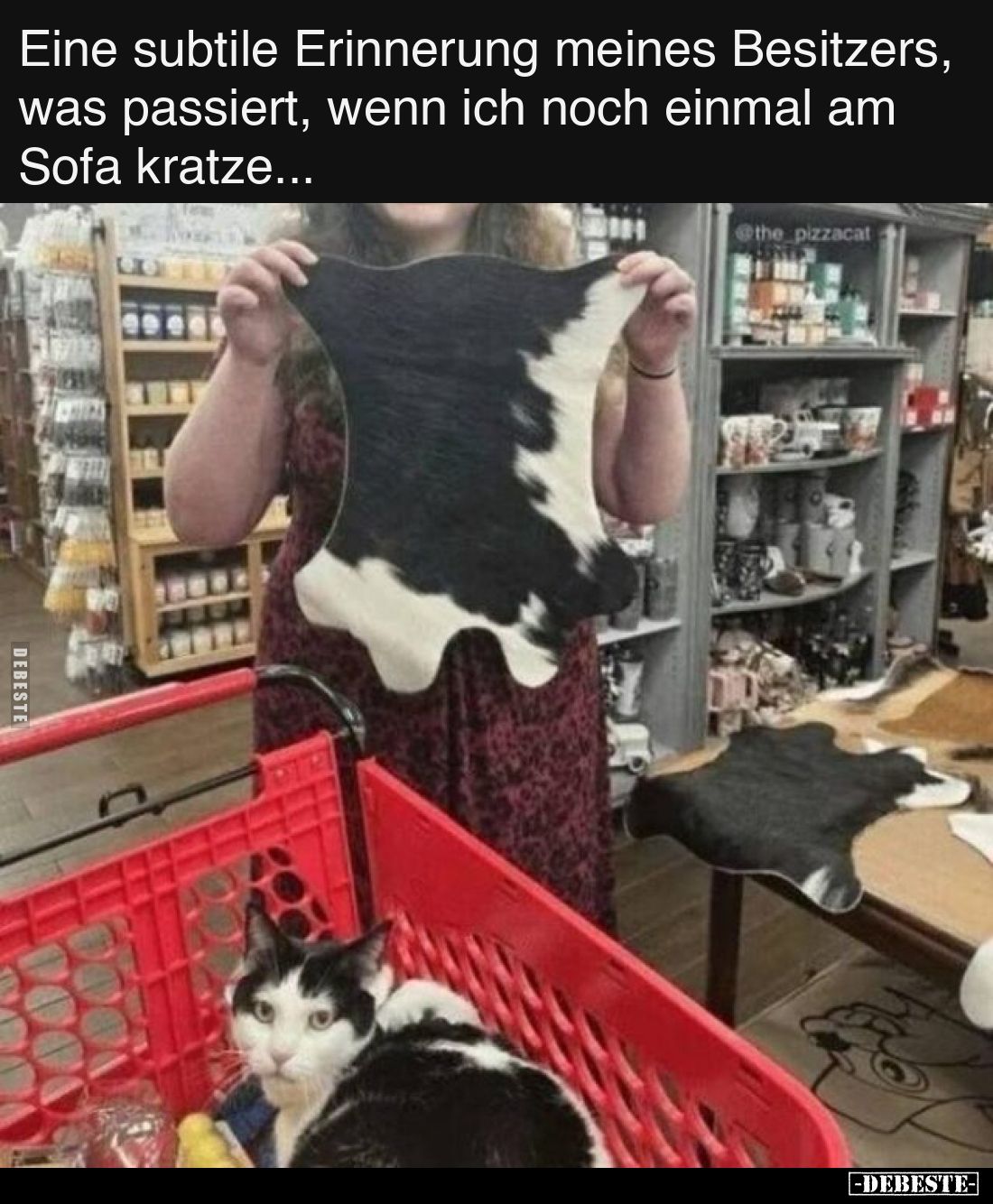 Eine subtile Erinnerung meines Besitzers, was passiert, wenn ich noch einmal am Sofa kratze...