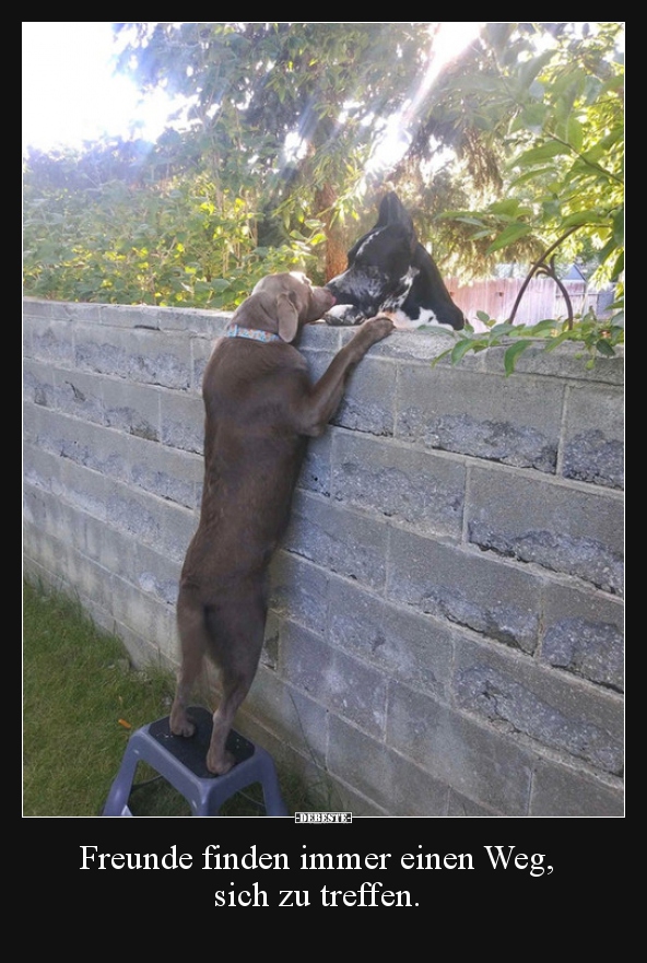 Freunde finden immer einen Weg, sich zu treffen...