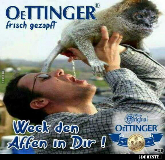 Oettinger frisch gezapft... Weck den Affen in Dir!.. - Lustige Bilder | DEBESTE.de