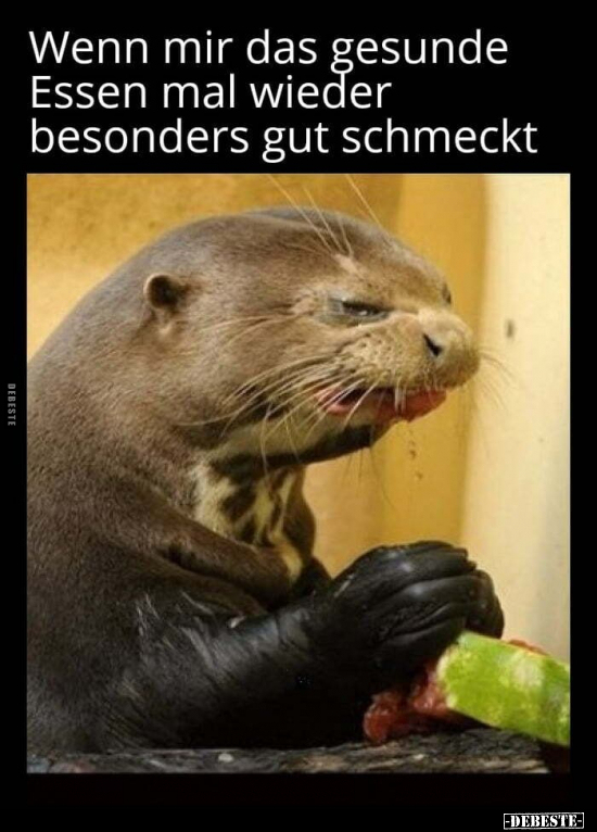 Wenn mir das gesunde Essen mal wieder besonders gut schmeckt