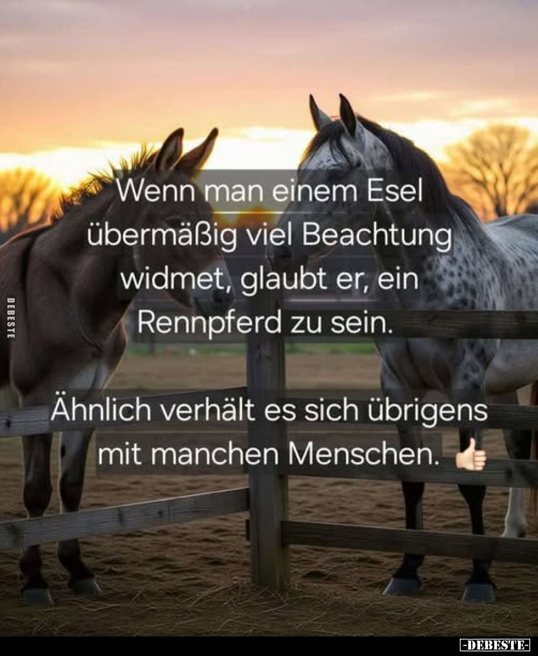 Wenn man einem Esel übermäßig viel Beachtung widmet, glaubt er, ein Rennpferd zu sein.
Ähnlich verhält es sich übrigens mit ...