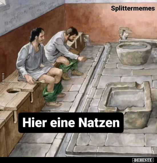 Splittermemes - Hier eine Natzen... - Lustige Bilder | DEBESTE.de