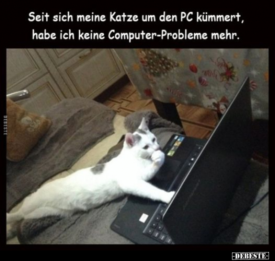 Seit sich meine Katze um den PC kümmert, habe ich keine.. - Lustige Bilder | DEBESTE.de