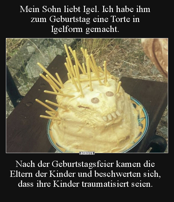 Mein Sohn liebt Igel. Ich habe ihm zum Geburtstag eine.. - Lustige Bilder | DEBESTE.de