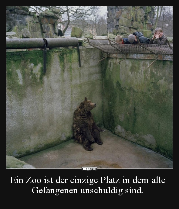 Ein Zoo ist der einzige Platz in dem alle Gefangenen.. - Lustige Bilder | DEBESTE.de