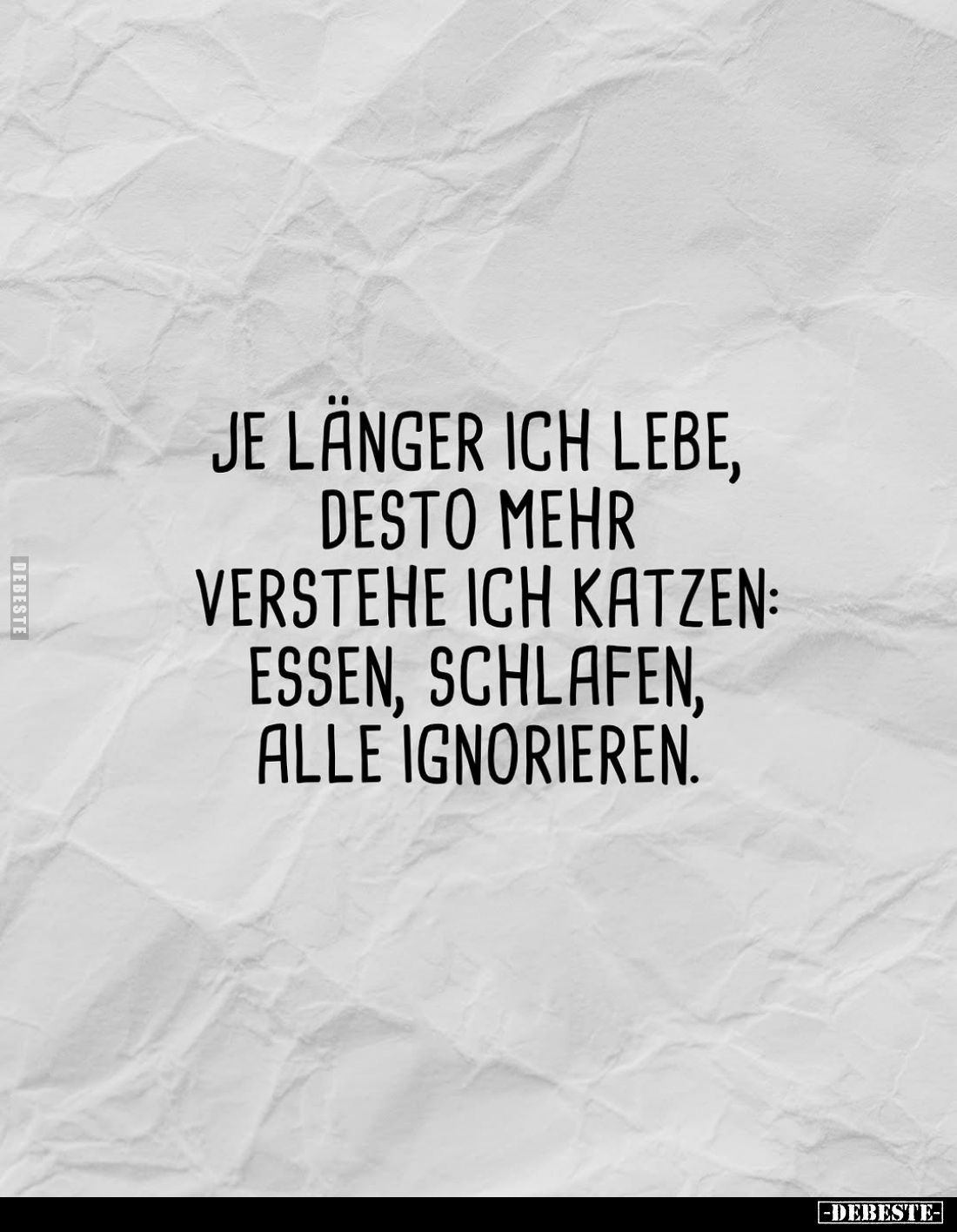 Je länger ich lebe, desto mehr verstehe ich Katzen: essen, schlafen, alle ignorieren.