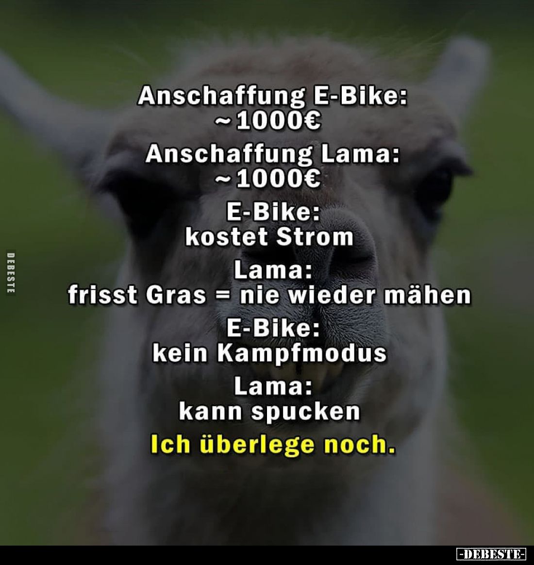 Anschaffung E-Bike: 1000€ -
Anschaffung Lama: 1000€ -
E-Bike: kostet Strom. -
Lama: frisst Gras = nie wieder mähen. -
E-B...