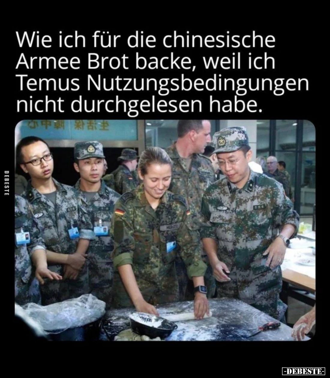 Wie ich für die chinesische Armee Brot backe, weil ich Temus Nutzungsbedingungen nicht durchgelesen habe.