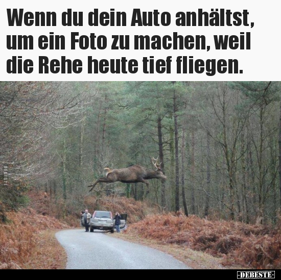 Wenn du dein Auto anhältst, um ein Foto zu machen, weil die..