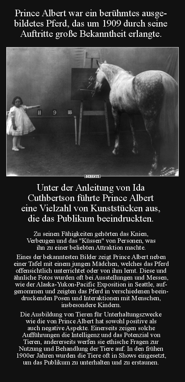 Prince Albert war ein berühmtes ausgebildetes Pferd, das.. - Lustige Bilder | DEBESTE.de
