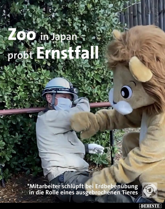ZOO in Japan probt Ernstfall.. - Lustige Bilder | DEBESTE.de