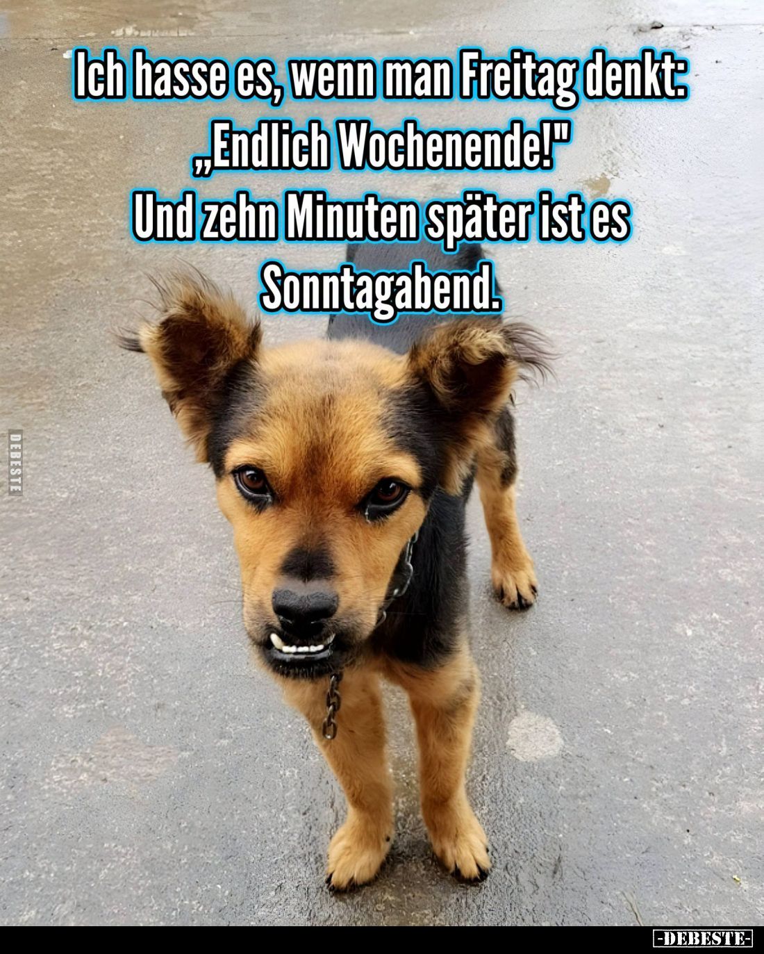 Ich hasse es, wenn man Freitag... - Lustige Bilder | DEBESTE.de