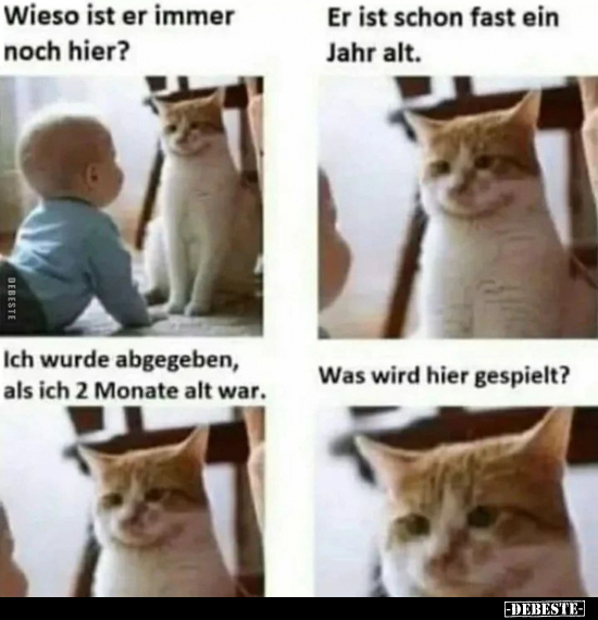 Wieso ist er immer hier?