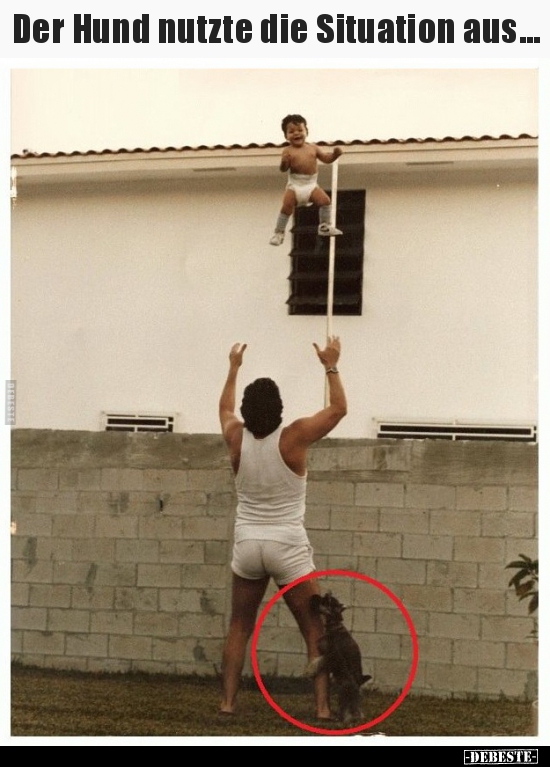 Der Hund nutzte die Situation aus...