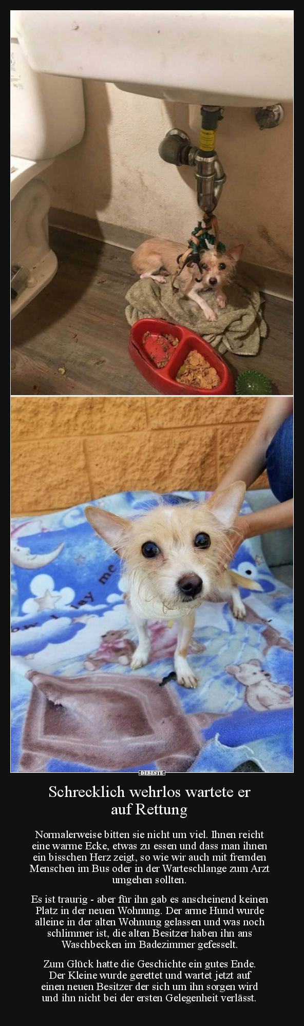 Schrecklich wehrlos wartete er auf Rettung...