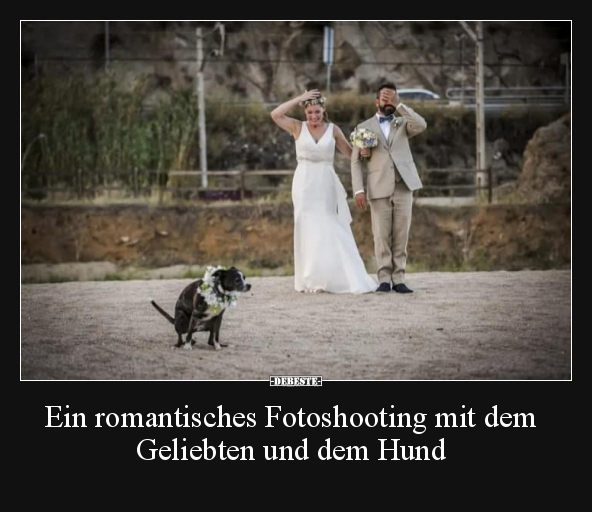 Ein romantisches Fotoshooting mit dem Geliebten und dem.. - Lustige Bilder | DEBESTE.de