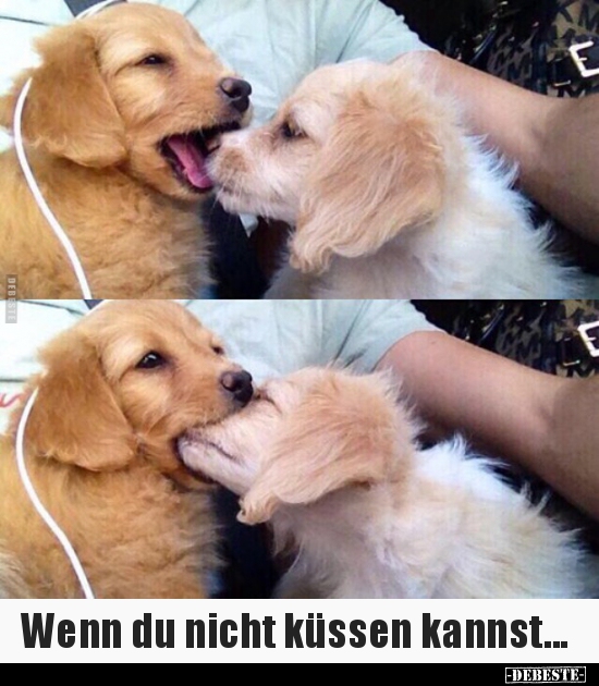 Wenn du nicht küssen kannst... - Lustige Bilder | DEBESTE.de