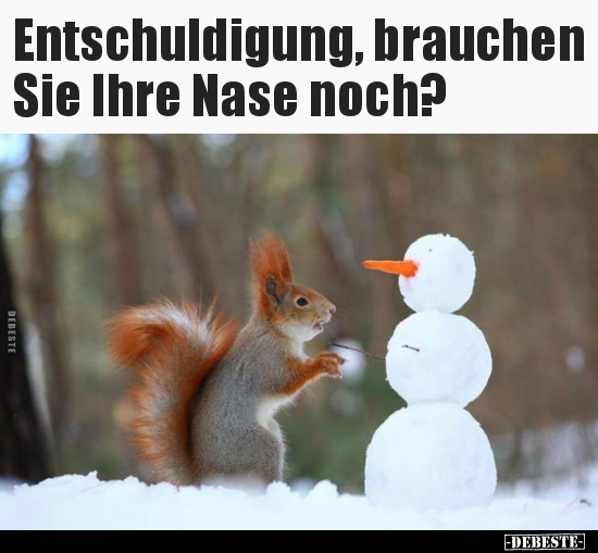 Entschuldigung, brauchen Sie Ihre Nase noch?.. - Lustige Bilder | DEBESTE.de