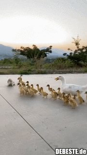 Alle schön zusammen bleiben..