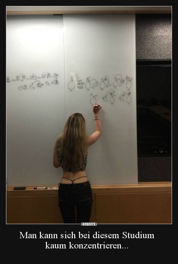 Man kann sich bei diesem Studium kaum konzentrieren...