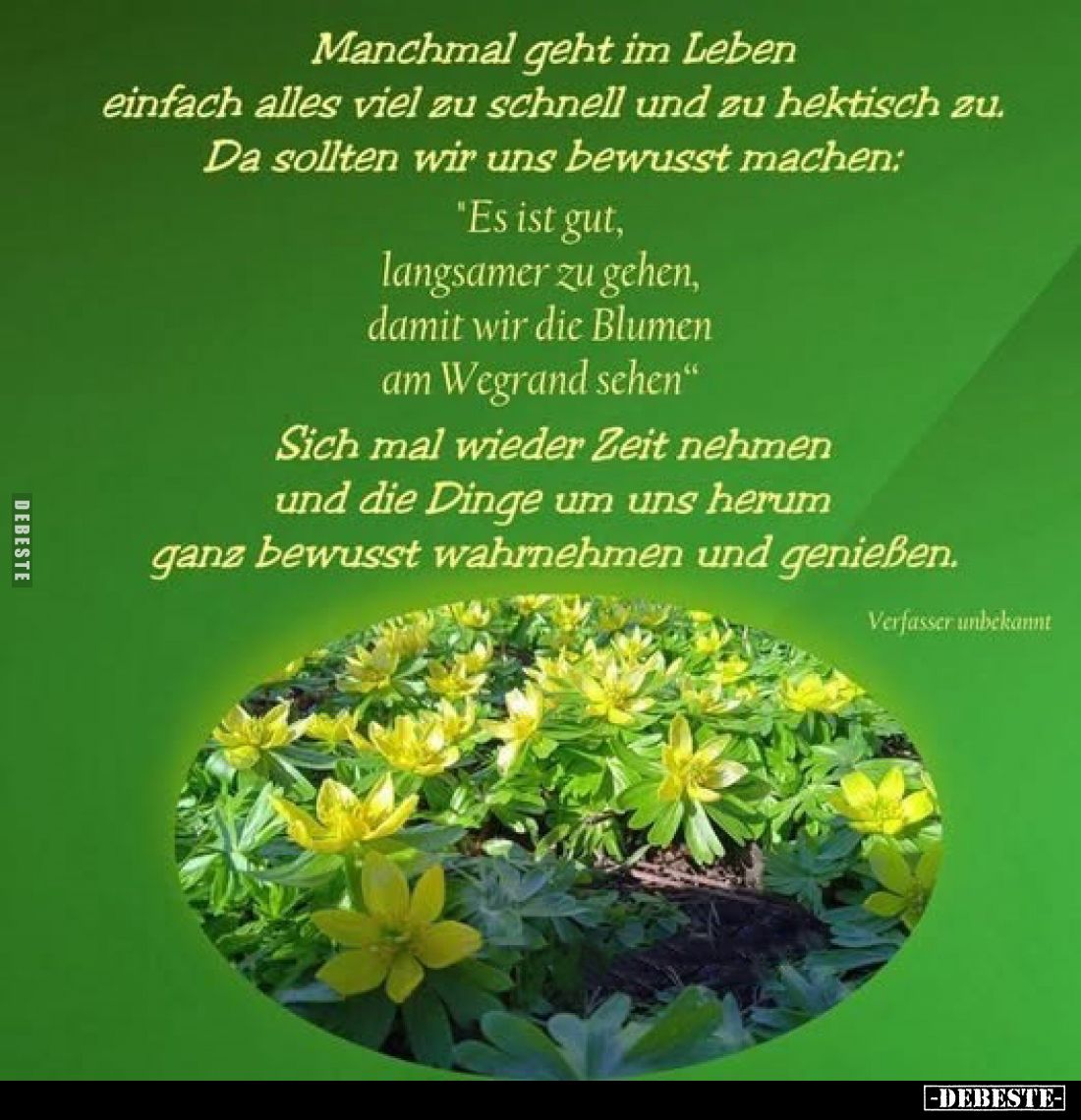 Manchmal geht im Leben einfach alles viel zu schnell und zu hektisch zu. Da sollten wir uns bewusst machen: 
"Es ist gu...