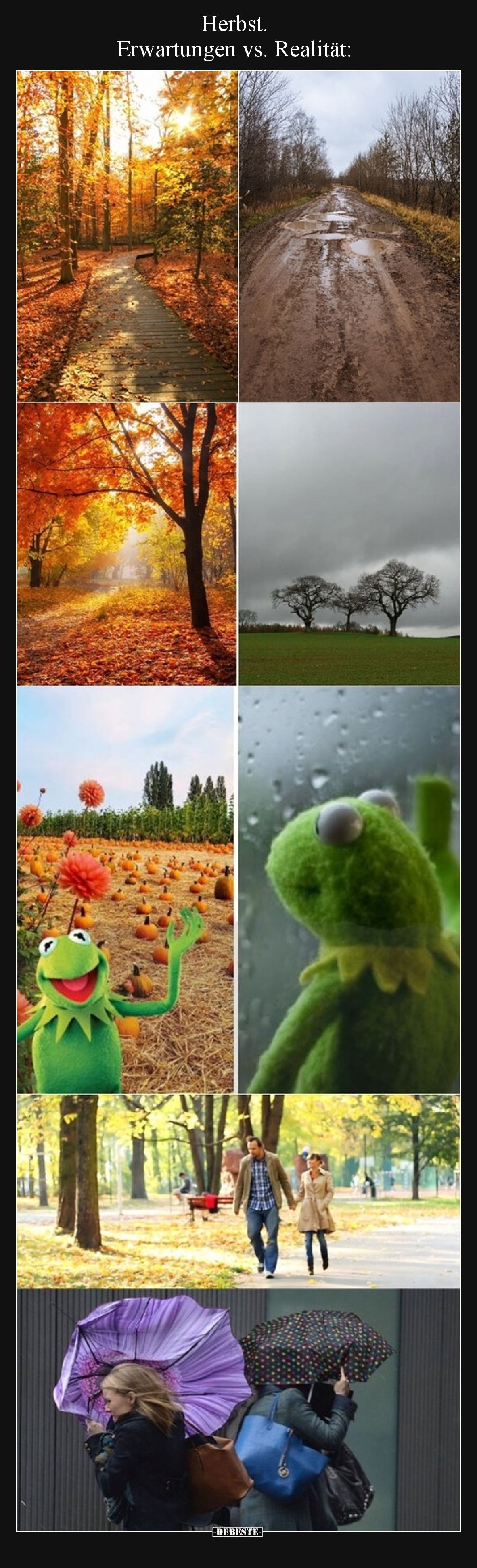 Herbst. Erwartungen vs. Realität: