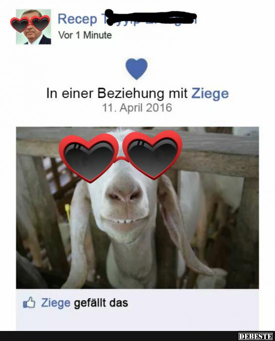 In einer Beziuehung mit Ziege.. - Lustige Bilder | DEBESTE.de