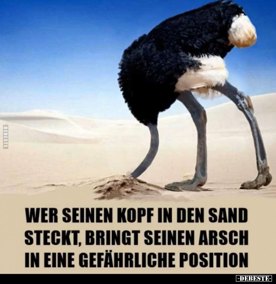 Wer seinen Kopf in den Sand steckt, bringt seinen Arsch in eine gefährliche Position.