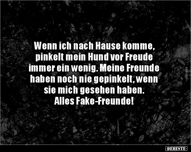 Sprüche fake Fake Friends