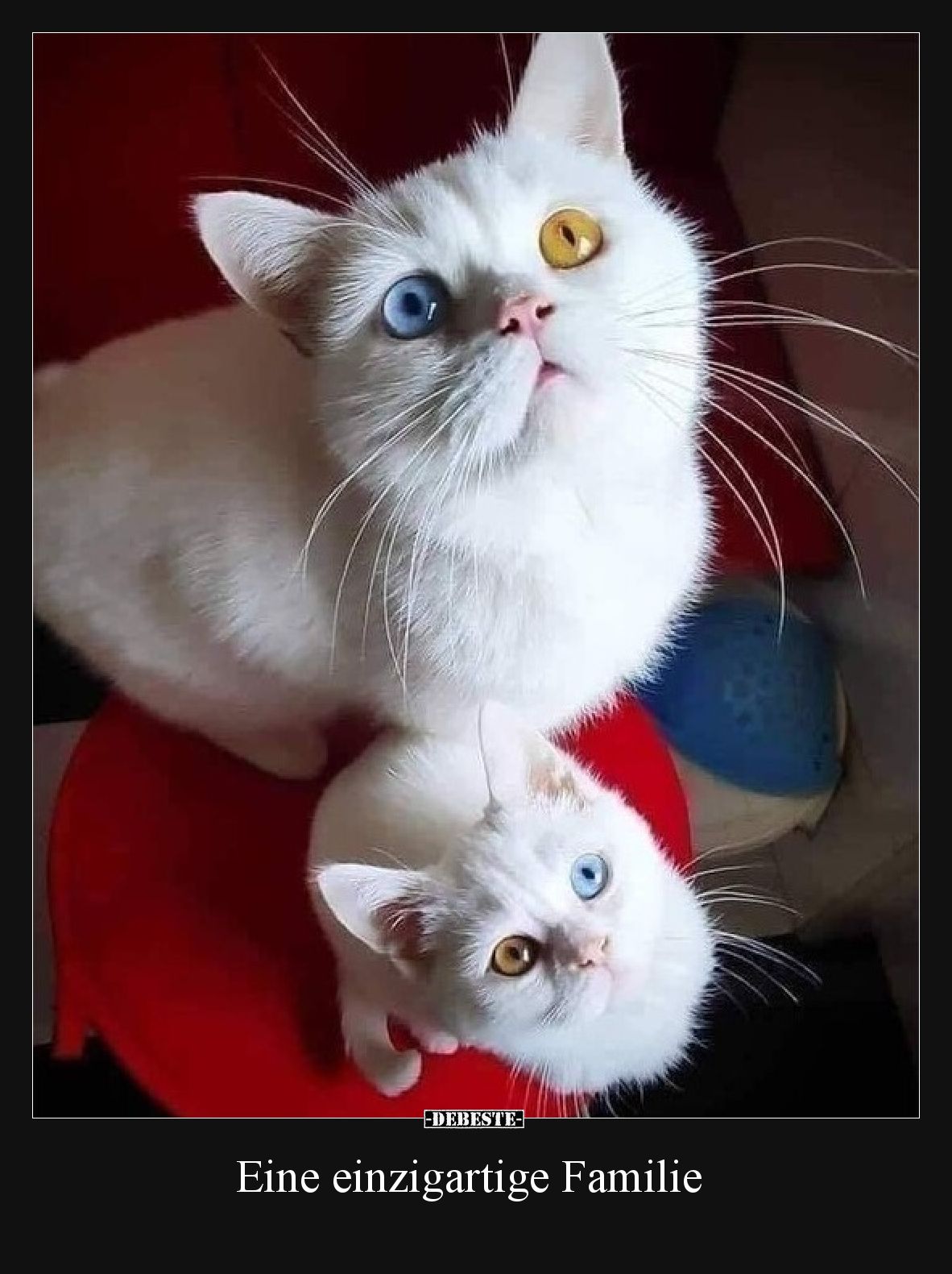 Eine einzigartige Familie