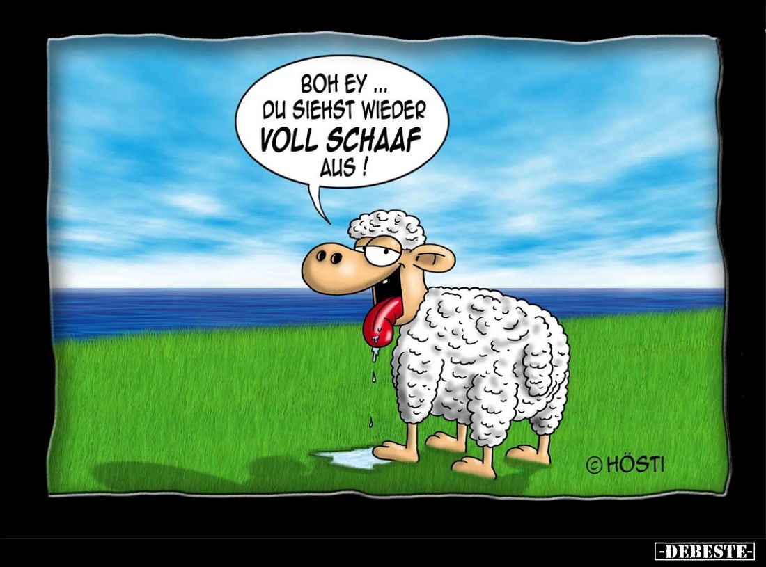 Boh ey... Du siehst wieder voll Schaaf aus!