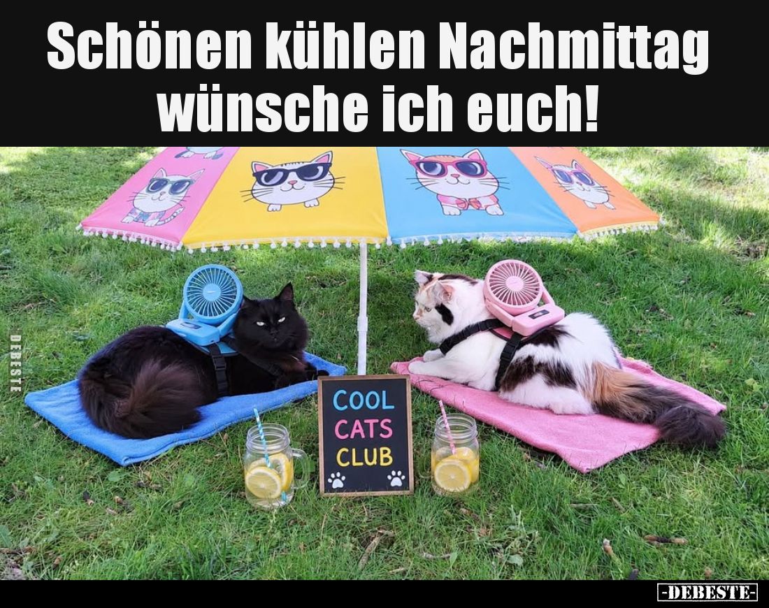 Schönen kühlen Nachmittag wünsche ich euch!