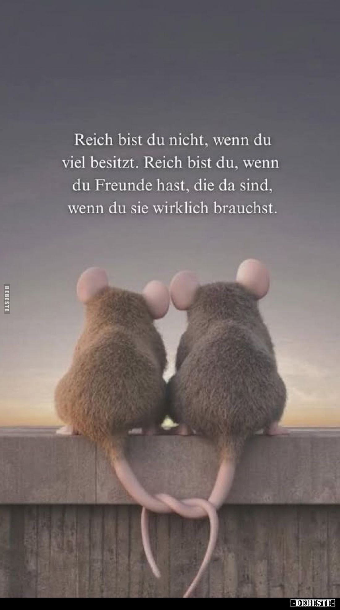 Reich bist du nicht, wenn du viel besitzt. Reich bist du, wenn du Freunde hast, die da sind, wenn du sie wirklich brauchst.