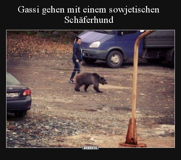 Gassi gehen mit einem sowjetischen Schäferhund.. - Lustige Bilder | DEBESTE.de